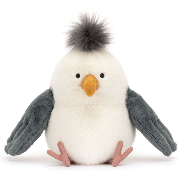 Chip Seagull