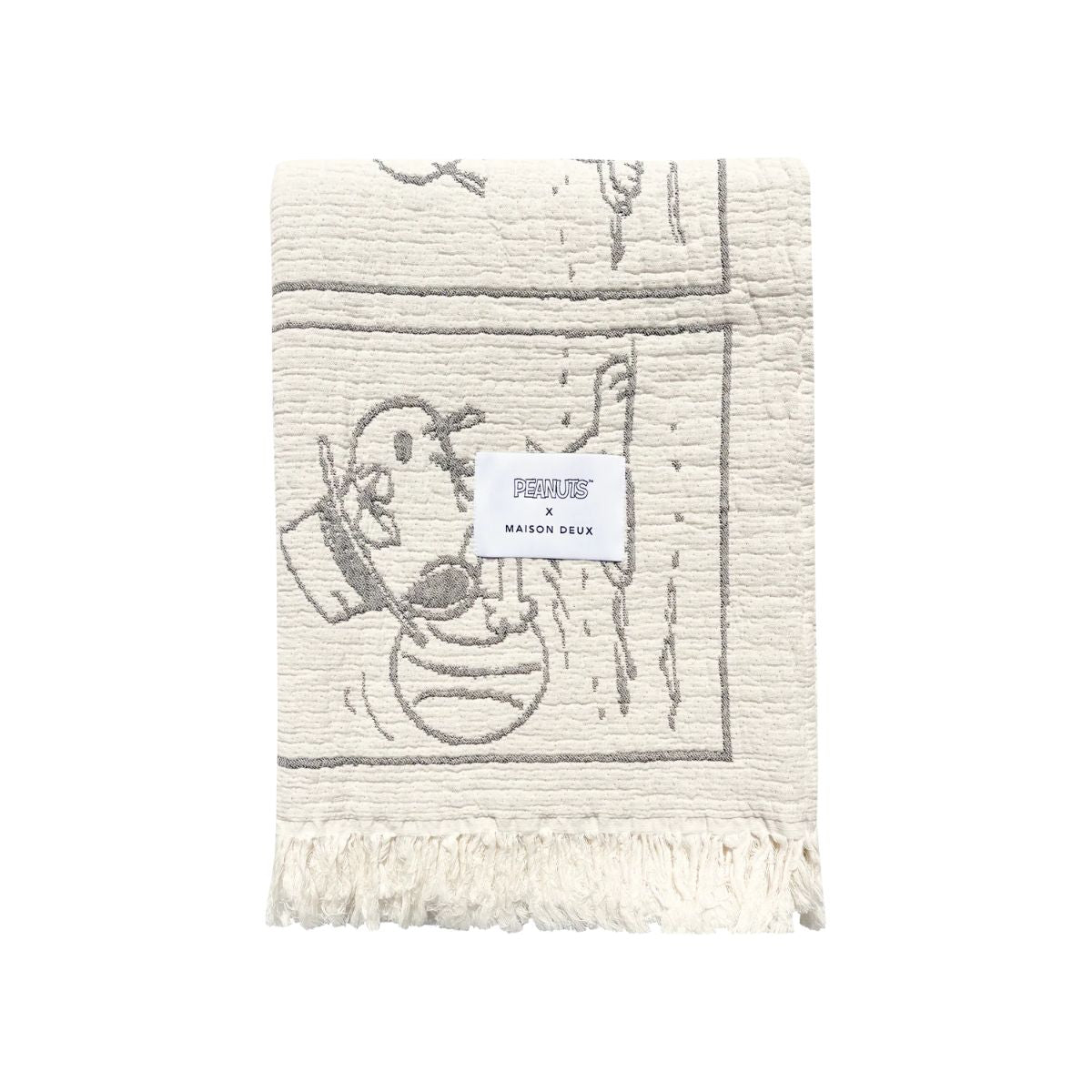 Peanuts Blanket Comic Dessert