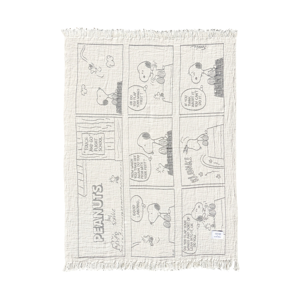 Peanuts Blanket Comic Flightschool