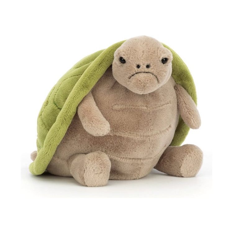 Timmy Turtle